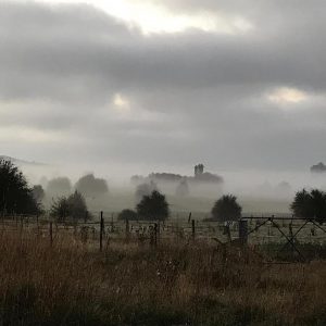 NSW mist