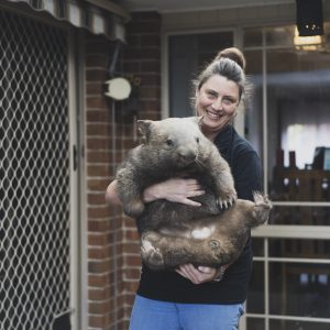 Wombat rescue founder Yolandi Vermaak with wombat Dezi, at her home in Nicholls, says flooding has led to an almost record high wombat rescues in the ACT and surrounds, Thursday, 24th of September, 2020. Picture: Dion Georgopoulos - THE CANBERRA TIMES, ACM
